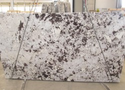 delicatus white white granite